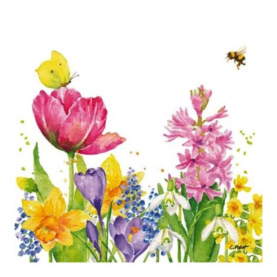 Pacote Com 20 Guardanapos De Papel 33x33cm Butterfly & Bee Napkin